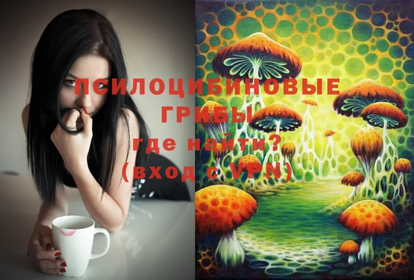 прущая мука Корсаков