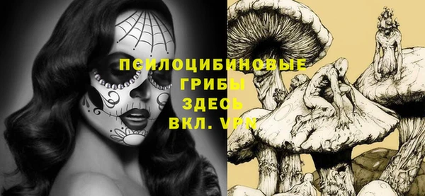стафф Абаза