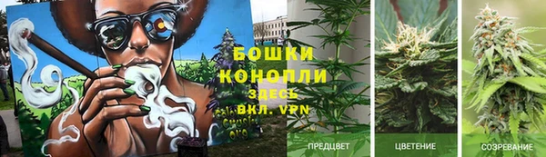 стафф Абдулино
