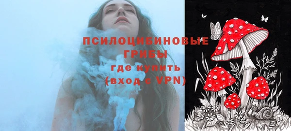 стафф Абдулино